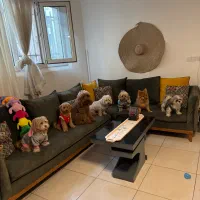 هتل پانسیون VIP سگ