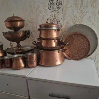 مس  همه نوع