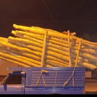 خرید و فروش انواع چوب خشک