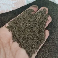 زیره سیاه کوهی اصل