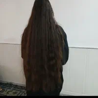 صادر کننده موهای طبیعی بانوان عزیز از سراسر استان