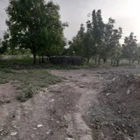 کارگاه وزمین باغو باغچه فوری فوری