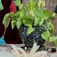 ریسه رنگی سنتی