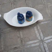دوعدد مرغ خوری با دوتا بطری اب