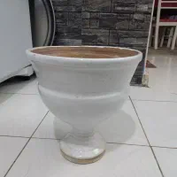 گلدان سالم