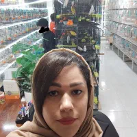 کاسکو برزیلی قناری طوطی گرینچیک ملنگو کوتوله عروس