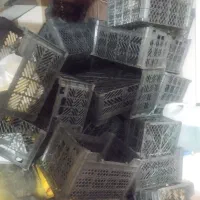 سبد میوه