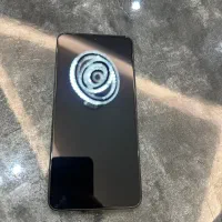 پرچمدار شیامی ۱۳t