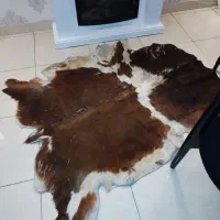 پوست طبیعی گاو