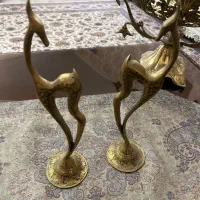 غزال برنزی