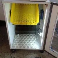 دستگاه جوجه کشی