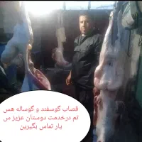 سلاخ قصاب ذبح گوسفند و گوساله کرج مهرشهر  سیار