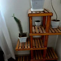 استندگل