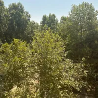 فرشته 320 متر جواز 6 طبقه 160 متر دید ابدی