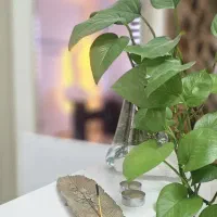 اجاره اتاق و لاین با شرایط و موقعیت مناسب