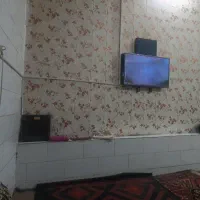 یک-نفر-همخونه-خانم