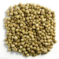 گشنیز برای تخم و مصرف