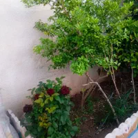 خانه اردوگاه