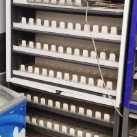 استندسیگار