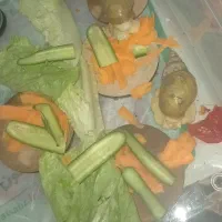 حلزون البینو