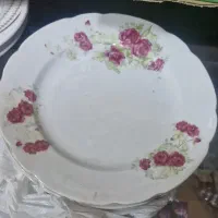 ۶ عدد بشقاب چینی کاملا سالم