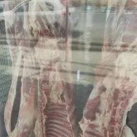 اجاره مغازه قصابی