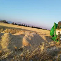 کاه گندم و جو خرید و فروش فوری