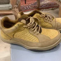 کفش کتونی