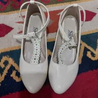 کفش مجلسی