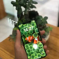 iPhone 12pro|موبایل|گلبهار, شهر جدید گلبهار|دیوار