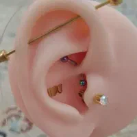 آموزش و خدمات