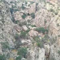 سوئیچ پژو پیدا شده