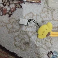 فلش