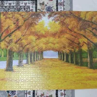 پازل ۲۰۰۰ تکه