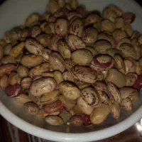 خوراکی ها