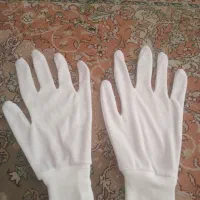 تولیدوپخش دستکش حساسیت