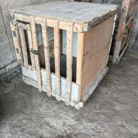 قفس مرغ و خروس