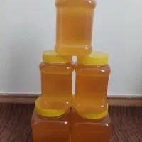 عسل‌طبیعی‌گلیل