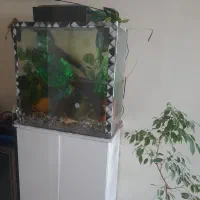 آکواریوم وپالوداریوم پیشرفته