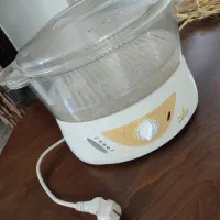 بخار پز