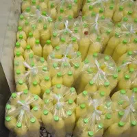 ابلیمو