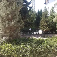 فروش و تهاترزمین در چمن ۳متراژ  ۲۲۰ متر