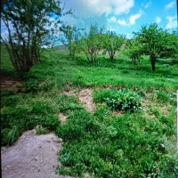 زمین 420مترجاده چالوس روستای آزادبر کیلومتر65