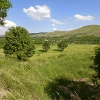 زمین فروشی