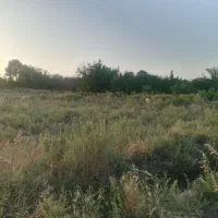500مترزمین-روستای-جنت-اباد-برای-باغچه