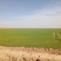 زمین-کشاورزی