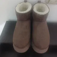 نیم پوت نو
