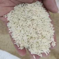 برنج هاشمی تک الک