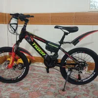 دوچرخه 20