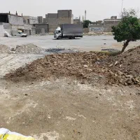کود گوسفندی